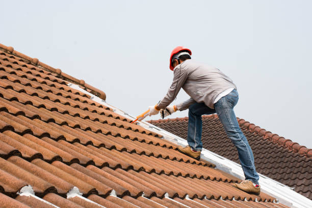 Best Commercial Roofing Services  in Deadwood, SD